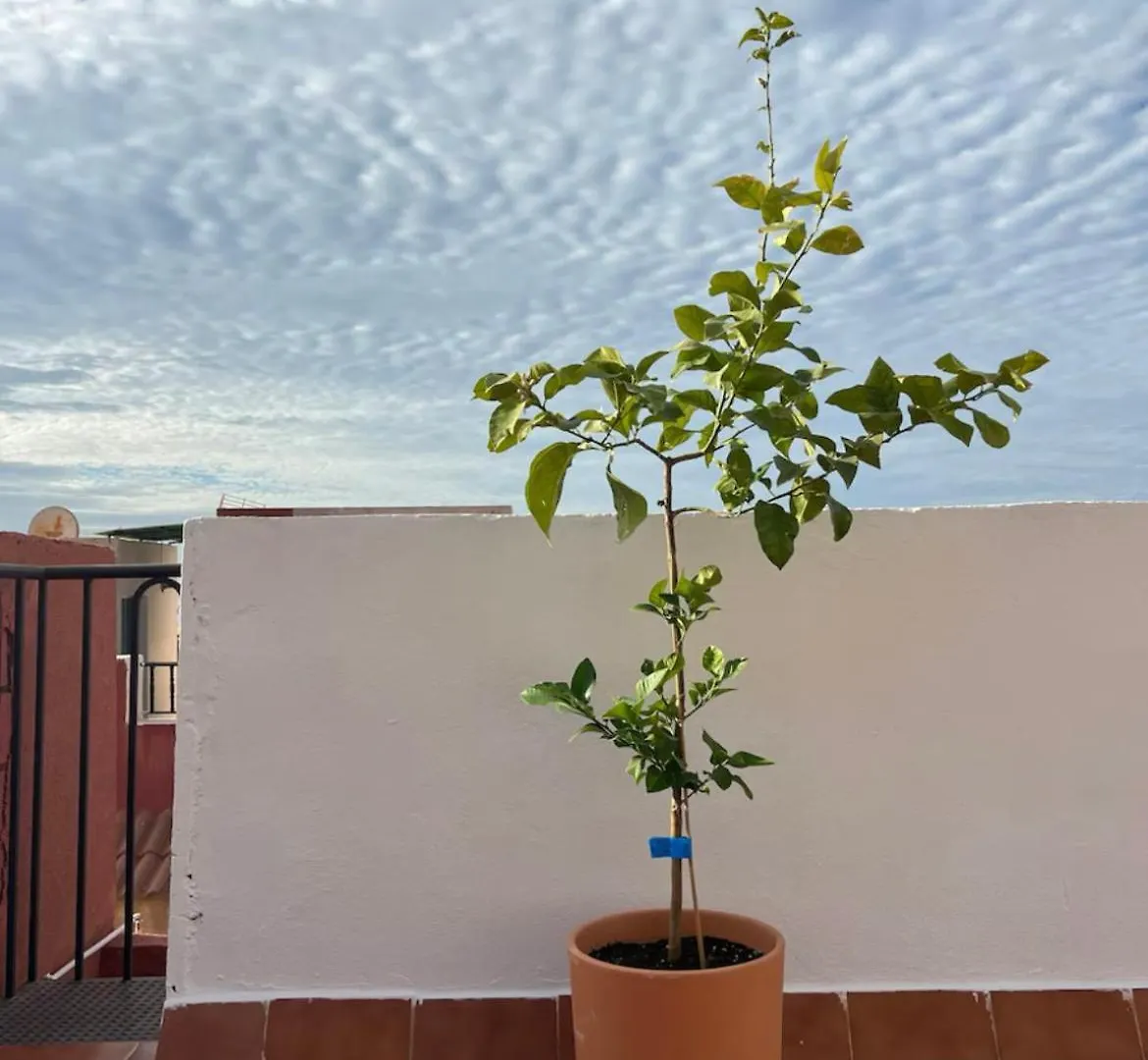 La Alcazaba A Tus Pies Apartment Almeria Spain